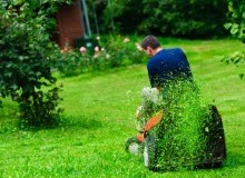 Kwikfynd Lawn Mowing
pacificpalms