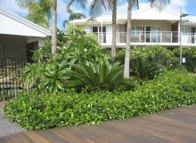 Kwikfynd Residential Landscaping
pacificpalms